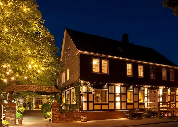 Sauerlaender Hof 招待所 3*