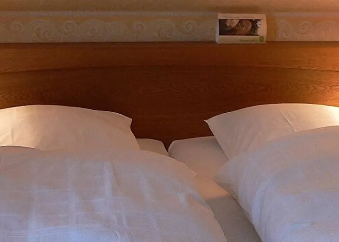 招待所 Sauerlaender Hof 埃斯洛黑