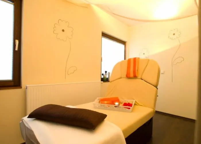 招待所 Sauerlaender Hof 3*