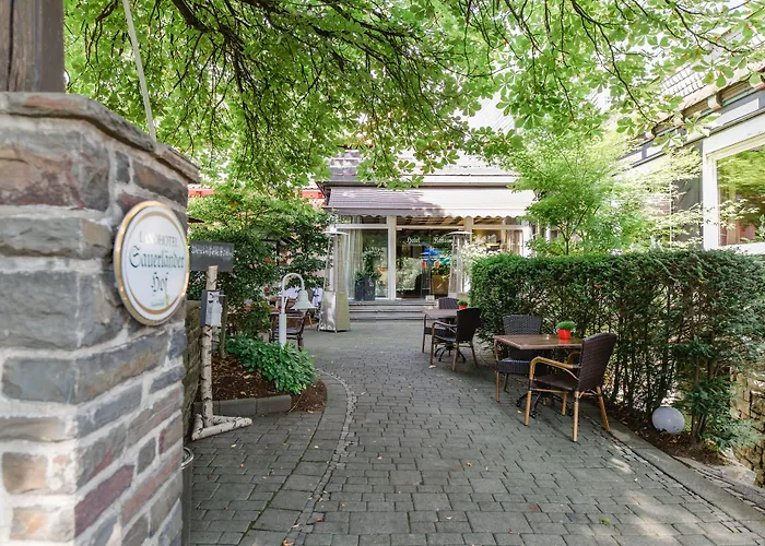 招待所 Sauerlaender Hof 3*