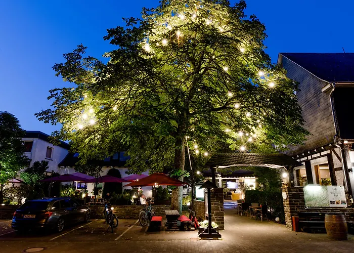 Sauerlaender Hof 招待所 埃斯洛黑